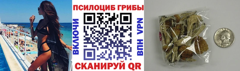 Псилоцибиновые грибы MAGIC MUSHROOMS  Будённовск 